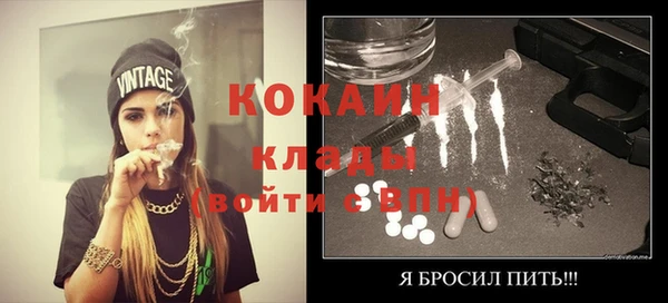 ешки Новодвинск