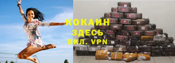 ешки Новодвинск