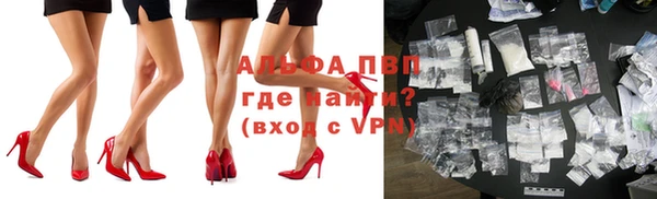 стафф Новокубанск