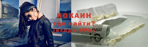 ешки Новодвинск
