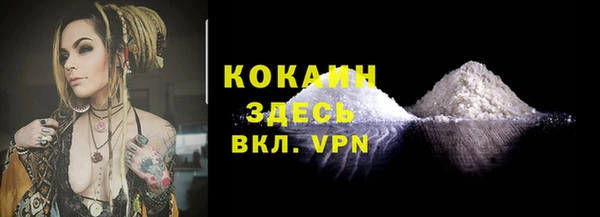 ПСИЛОЦИБИНОВЫЕ ГРИБЫ Верхний Тагил