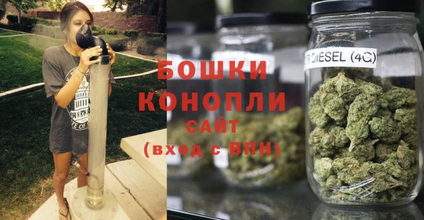 бошки Щёлкино