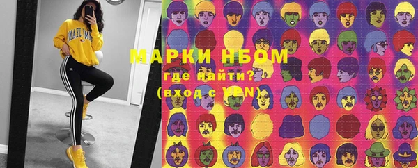 стафф Новокубанск