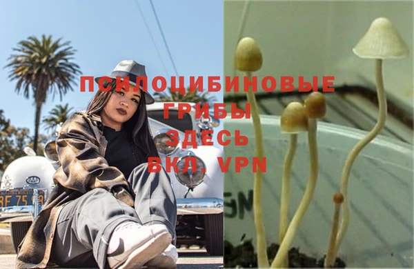 ешки Новодвинск
