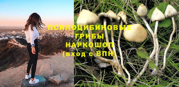 mdpv Нефтекумск