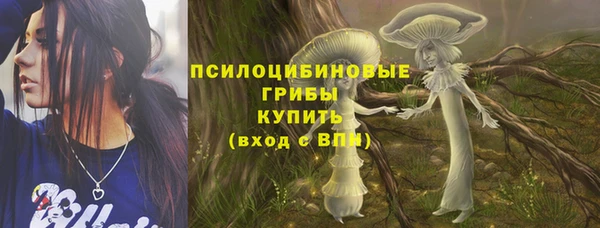 стафф Новокубанск
